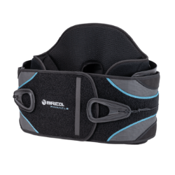 Breg Pinnacle LSO 627/642 Back Brace Breg Pinnacle LSO 627/642 Back Brace